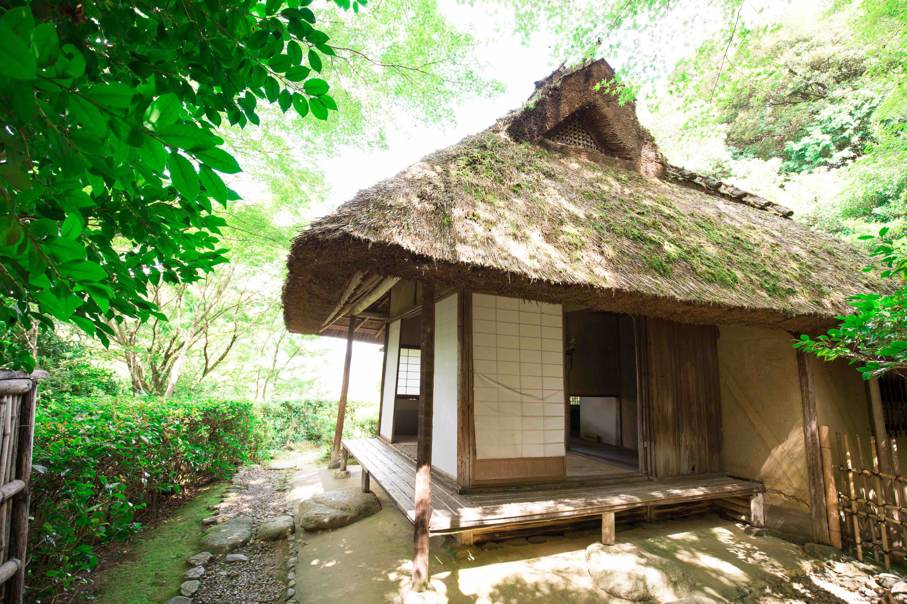 新緑に包まれる金福寺・芭蕉庵