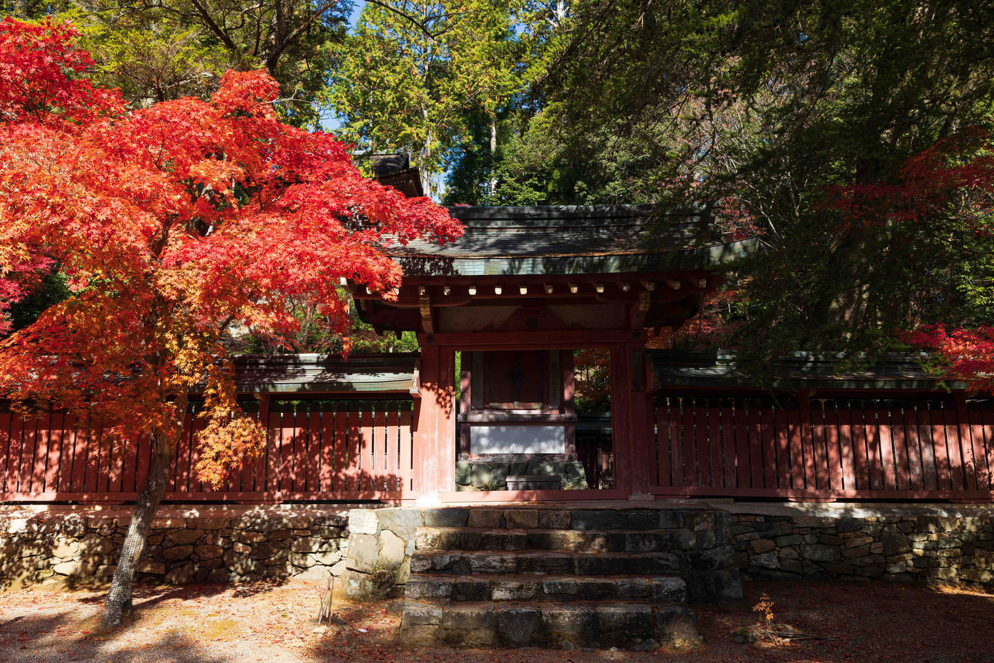 神護寺