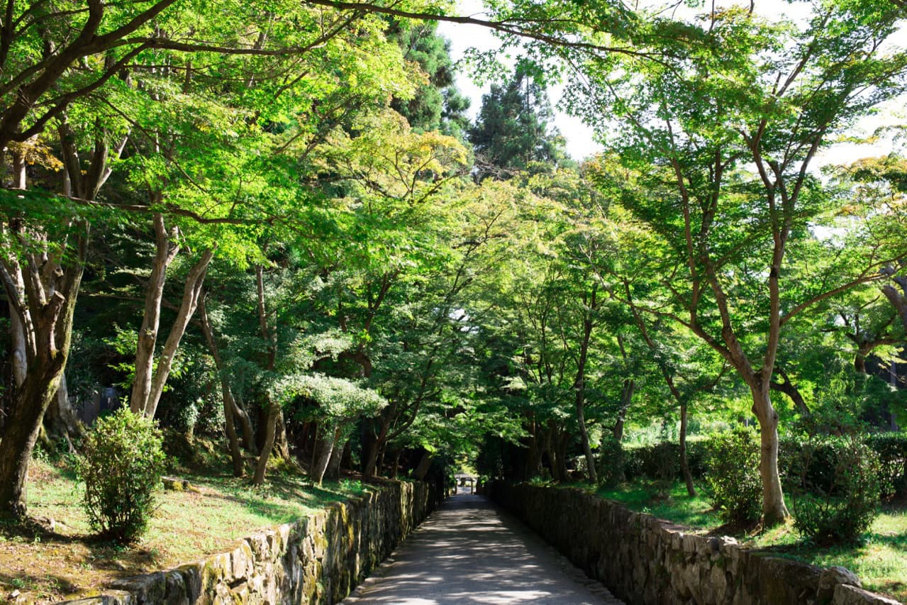 興聖寺