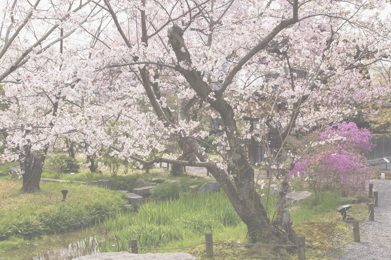 京都御苑