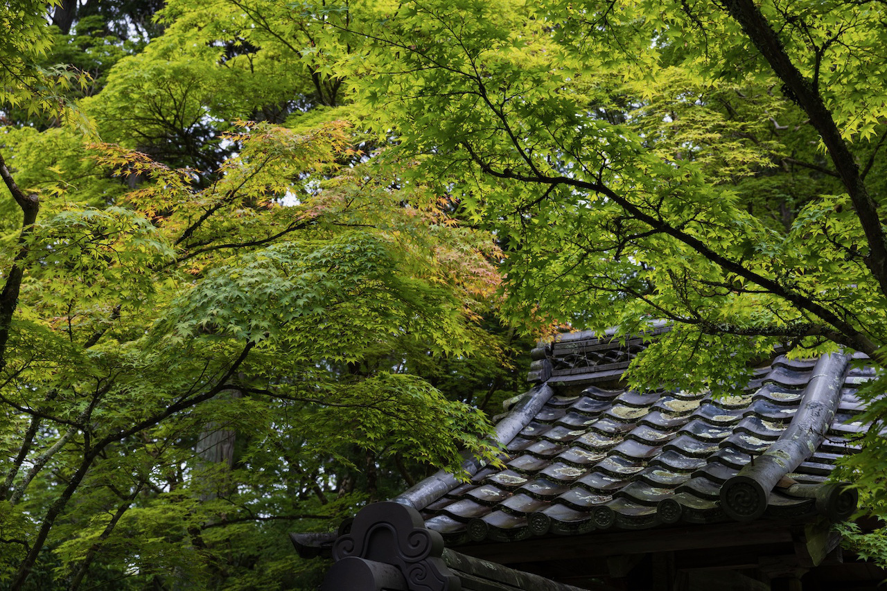西芳寺