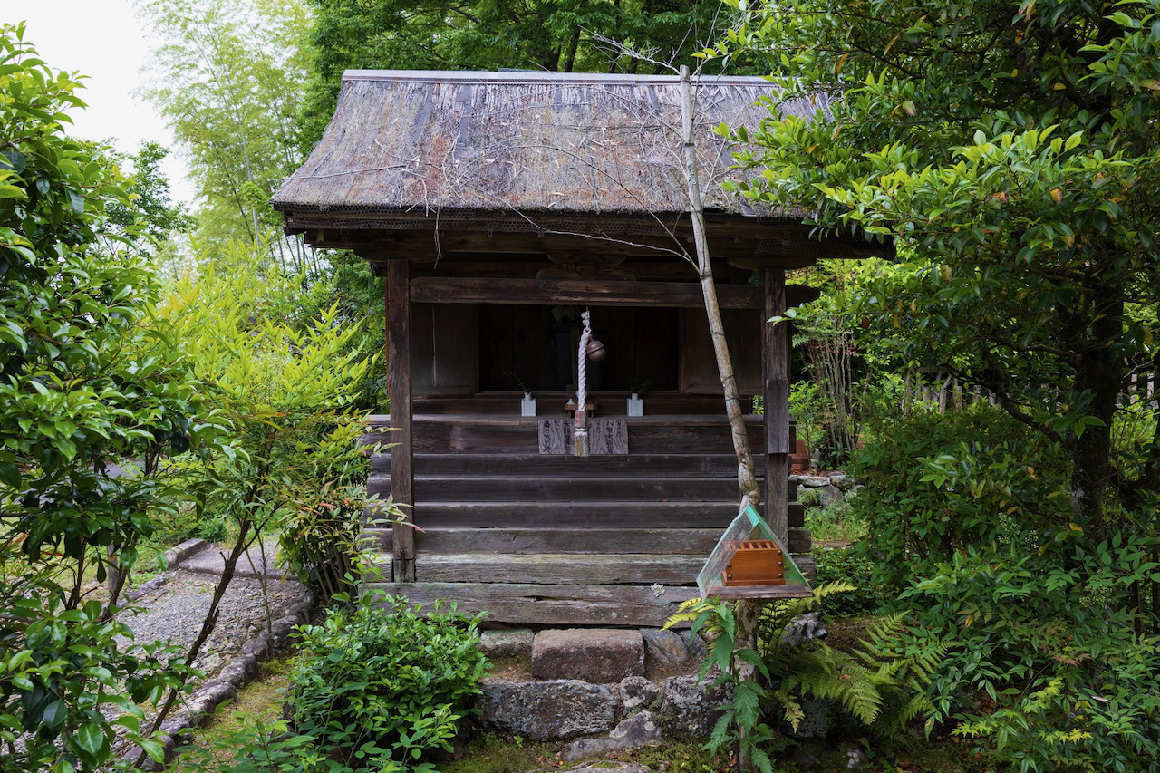 浄住寺