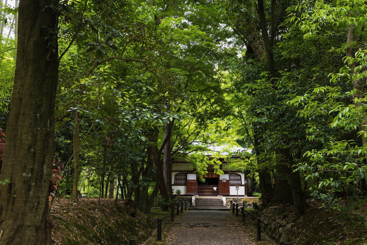地蔵院