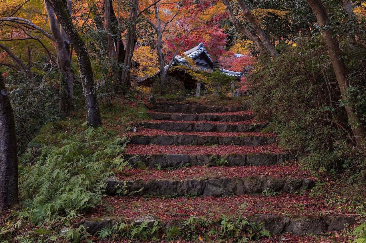 勝持寺
