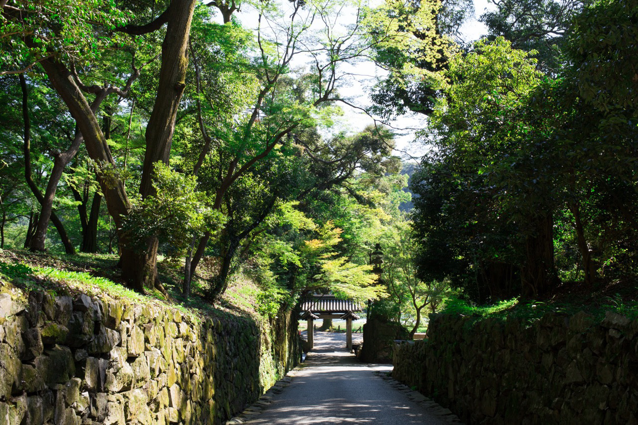 伏見稲荷の狐像