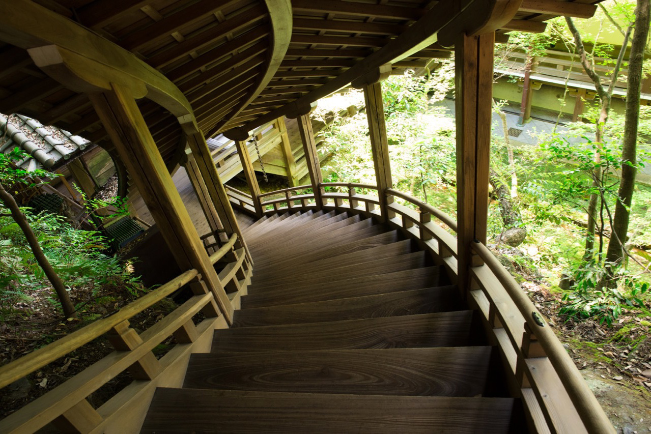 新緑に包まれる永観堂の臥龍廊の階段