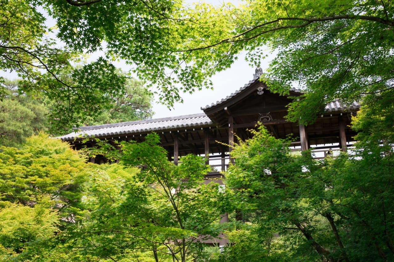 花の