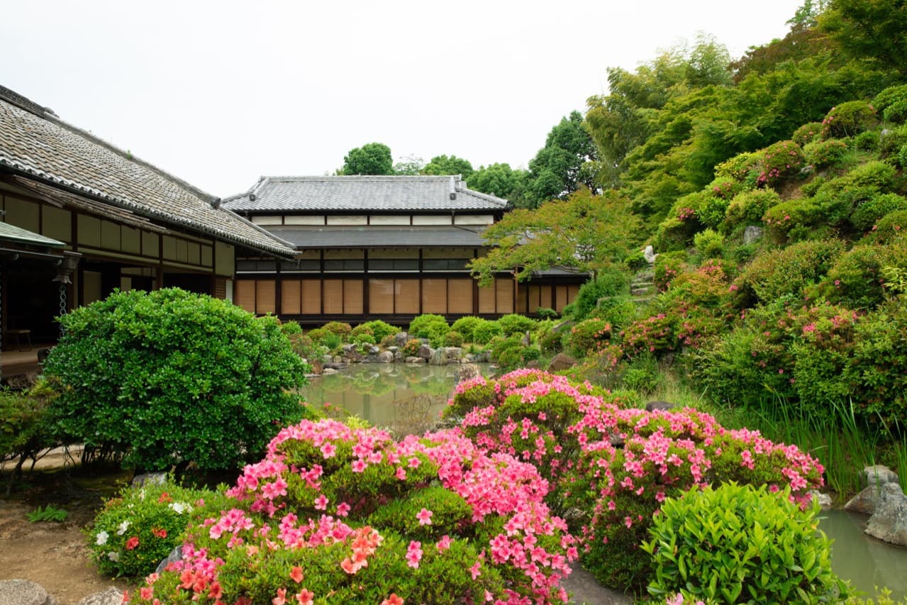 花の
