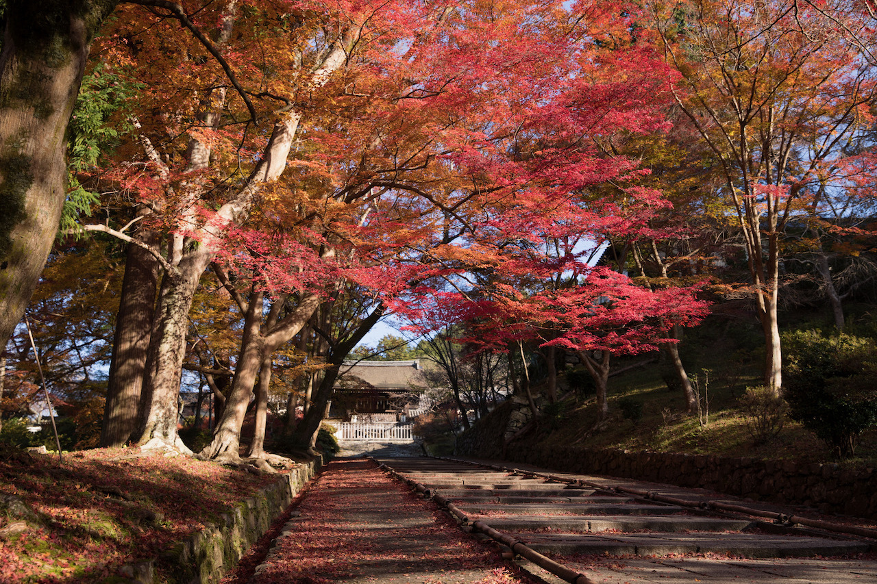 花の