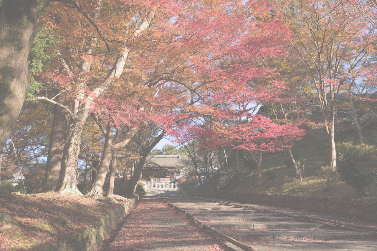 花の