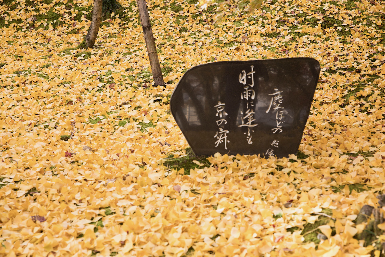 花の